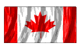 rippling flag